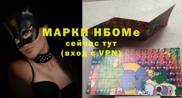 хмурый Сосновый Бор